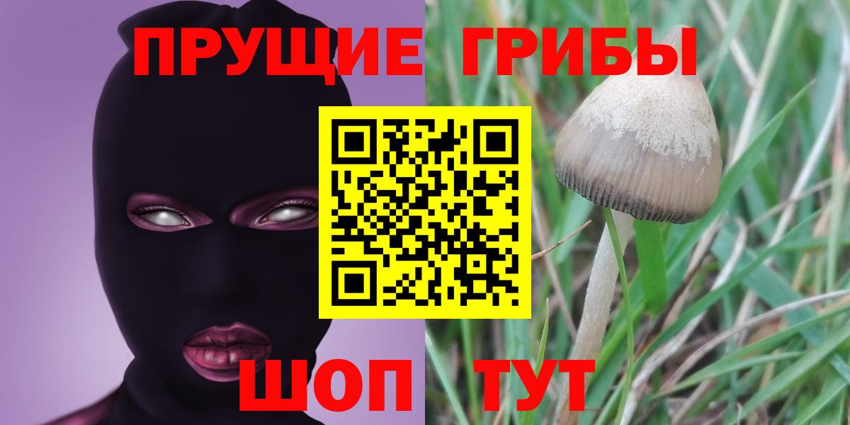 Псилоцибиновые грибы GOLDEN TEACHER Симферополь